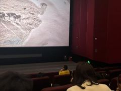 -首都电影院(天津店 中国巨幕)