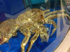 -水晶之星洗浴温泉汗蒸