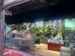 -朝来春花卉市场