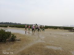 -红树林天天赶海