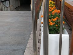 -知春路(地铁站)