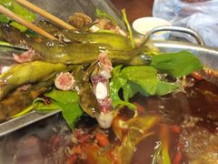 -太守鱼府(昭化古城店)