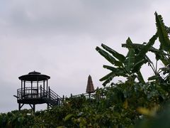 -Torch Coffee 炬点咖啡