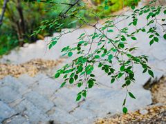 -青州市云门山风景区