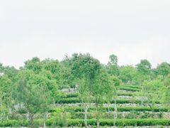 -军营村