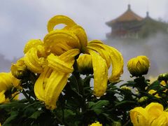 -中国翰园碑林
