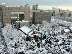 -中央民族大学