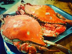 -威海海鲜王(窑头路店)