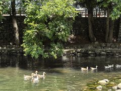 -鹿亭中村