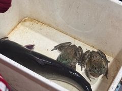 -九寨沟石锅鱼(沣峪口二十年店)