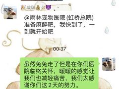 -雨林宠物医院 非犬猫异宠专科