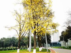 -重庆中央公园(渝北区)