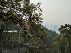 -南山植物园