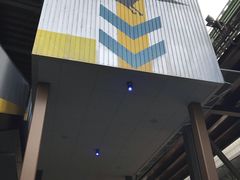 -飞天翼龙