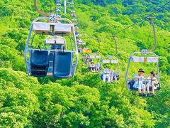 -富斯特索道
