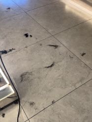 -PE SALON