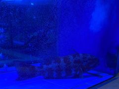 -红顶食府(滨湖九号店)