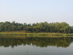 -大兴滨河森林公园