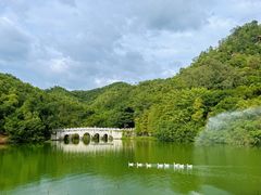 -珠海圆明新园