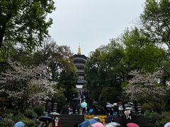 -雷峰塔景区
