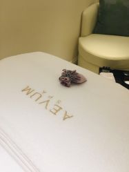 -奥斯芬·欧系贵族SPA