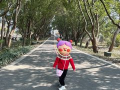 -同里国家湿地公园