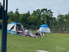 -春花秋色城市公园