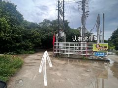 -丰依竹食·老牌竹筒饭