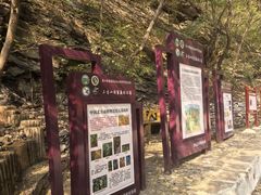 -北京上方山国家森林公园