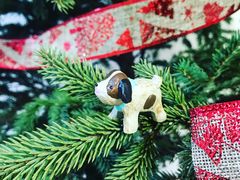 -冰纷万象滑冰场(二七万象城店)