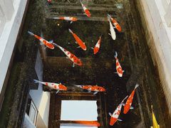 -鲤院·新中式美学·庭院餐厅(夫子庙店)