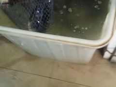 android_upload_pic-姥家大锅台水库渔家