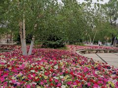 -哈尔滨文化公园