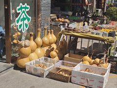 -中环花鸟鱼虫市场