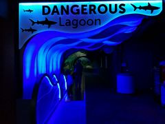 -瑞普利水族馆