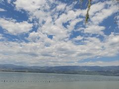 -西昌邛海湾柏樾酒店(原邛海湾柏栎度假酒店)