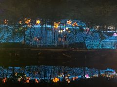 -三水森林公园