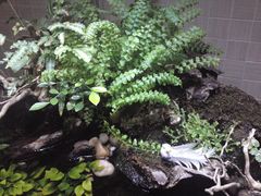 -Together·泰式按摩精油SPA(天山店)