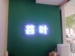 -菩叶脱发白发中心
