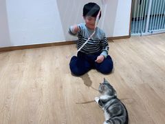-1013 PET SHOP精品宠物商店(丁香店)