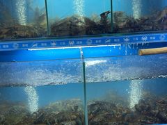 -星记小馆·小蓝龙·老南京砂锅菜(上海路店)