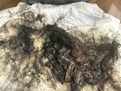 -御面斋精品面馆
