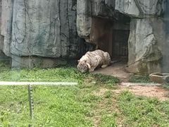-无锡动物园·太湖欢乐园
