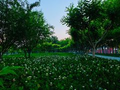 -南开大学滨海学院