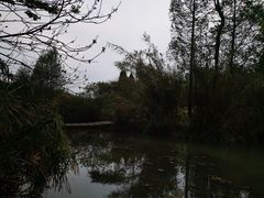 -桤木河湿地公园