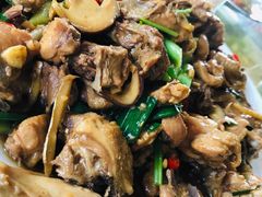 -生态苑农庄(十里画廊遇龙河店)