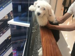 -昆百大泰业城