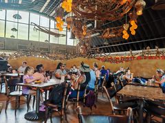 -奥兰多迪士尼动物王国乐园