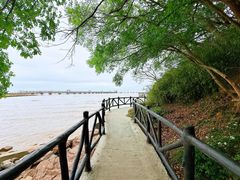 -平湖九龙山旅游度假区