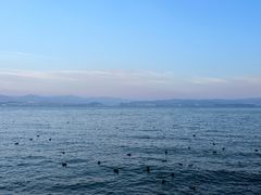 -大理洱海